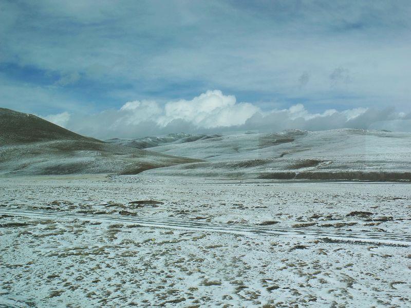 dscf8522.jpg