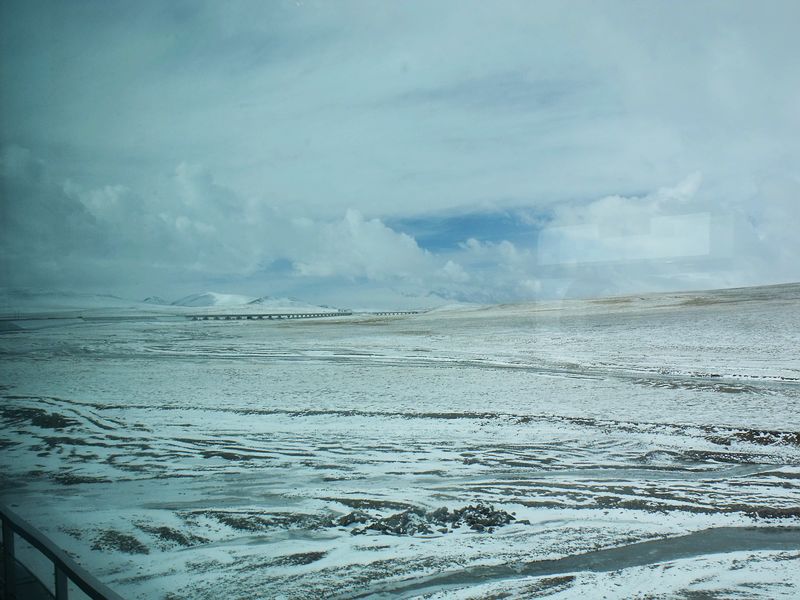 dscf8524.jpg