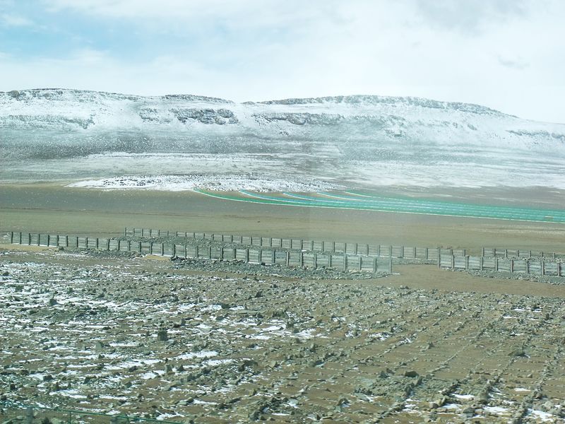 dscf8540.jpg