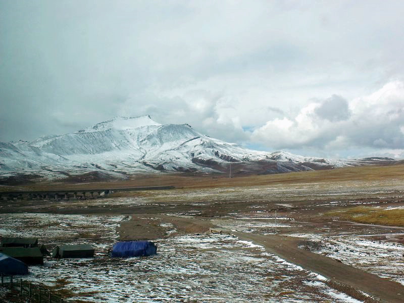 dscf8546.jpg
