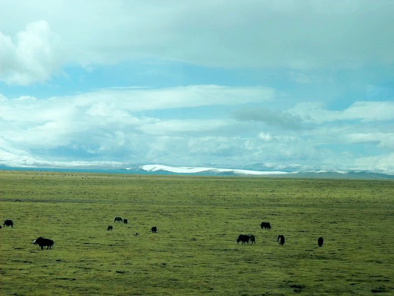 dscf8550.jpg