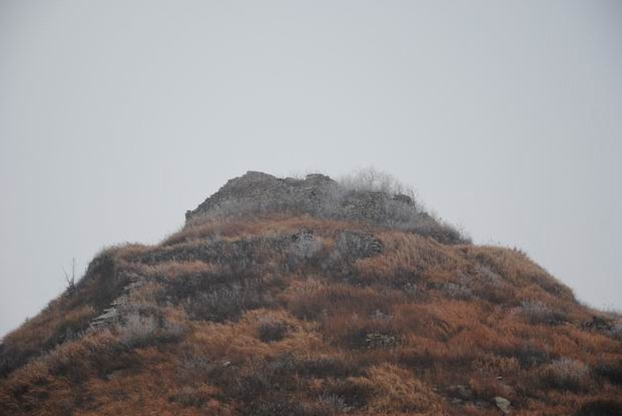 dsc_0065.jpg