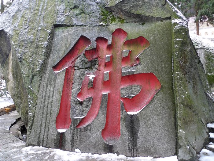 p1020054.jpg