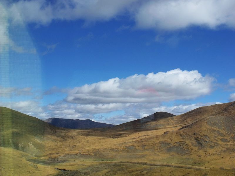 dscf8600.jpg