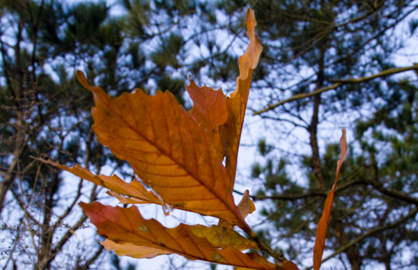 _mg_4360.jpg