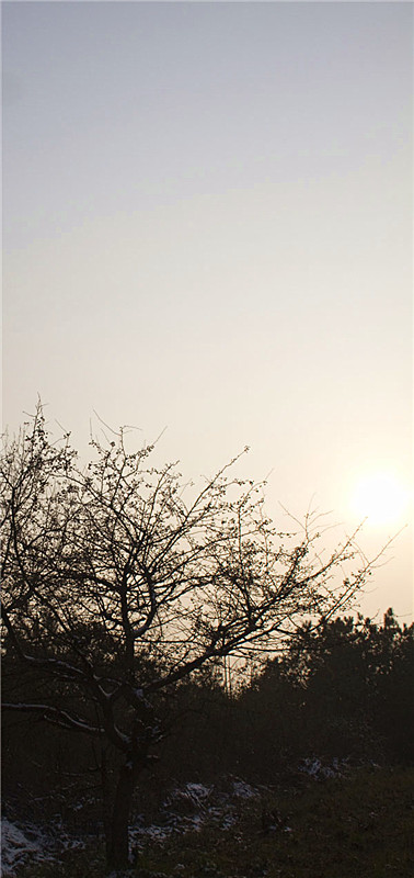 _mg_4363.jpg