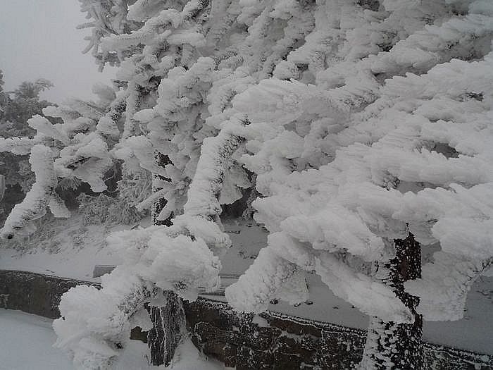 p1020119.jpg