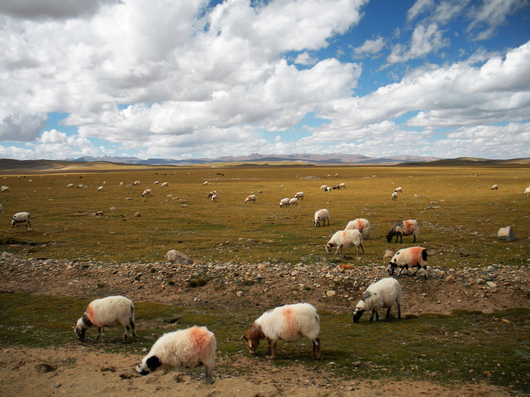 dscn9191.jpg