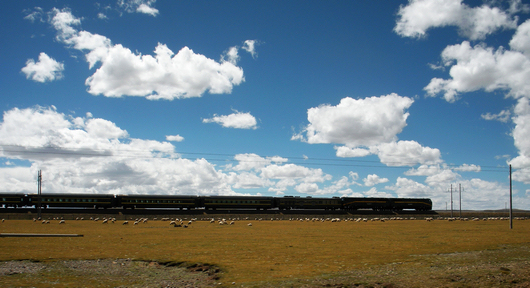 dscn9205.jpg