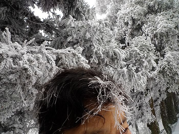 p1020182.jpg