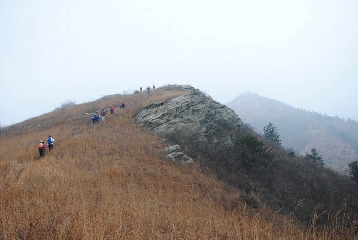 dsc_0006.jpg