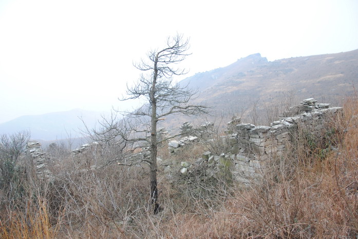 dsc_0026.jpg