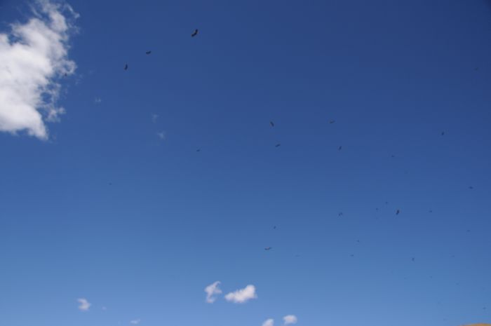 dsc_6376.jpg