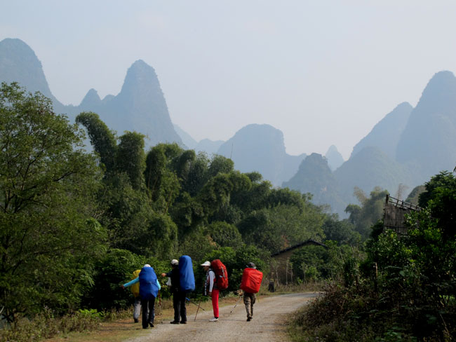 yuen 710.jpg