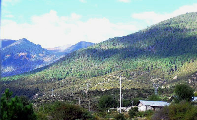 dscf8626.jpg