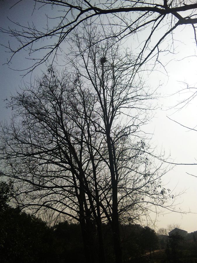 neo_img_dvc00144.jpg