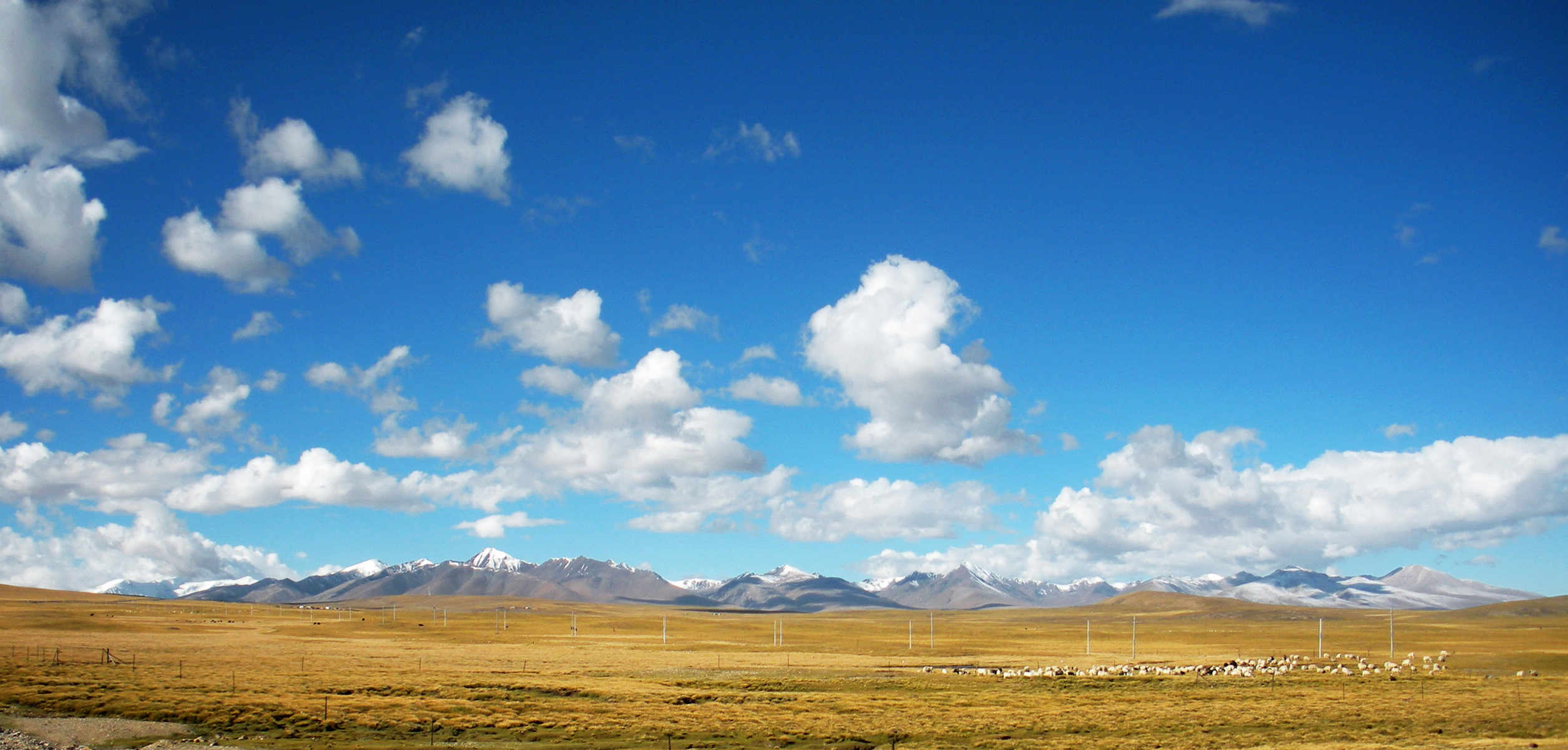 dscn9235.jpg