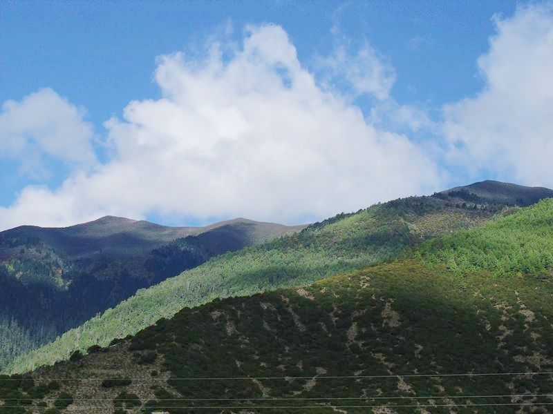 dscf8627.jpg
