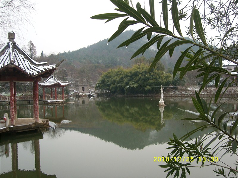 sl273626_.jpg