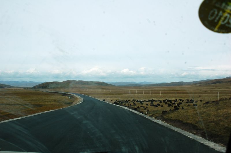 dsc_5068.jpg