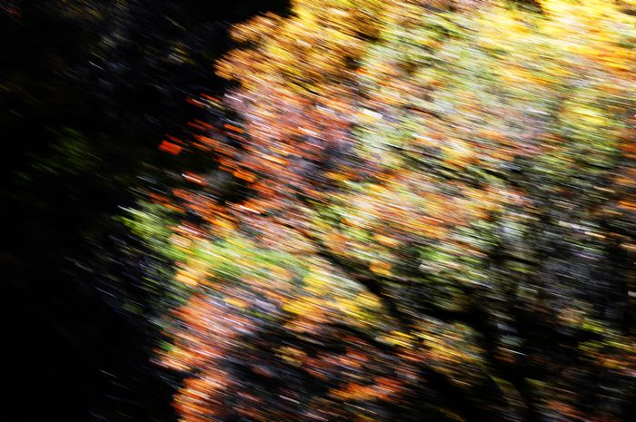 dsc_5019.jpg