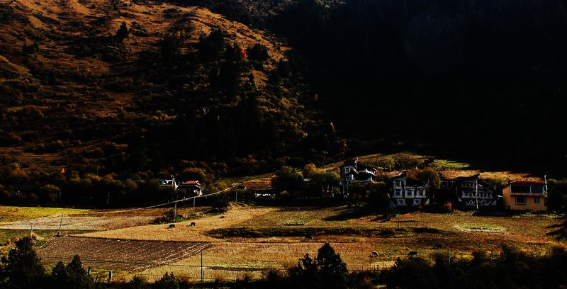 dsc_5054.jpg