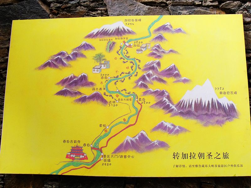 dscf8664.jpg