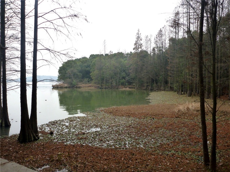 p1040025__.jpg