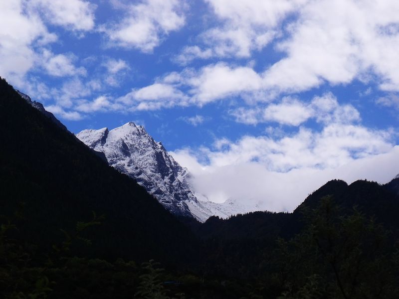 dscf8679.jpg