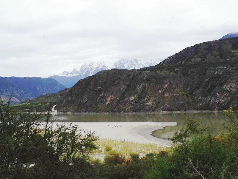 dscf8680.jpg