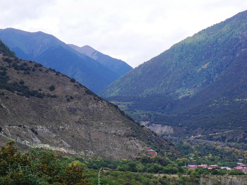 dscf8686.jpg
