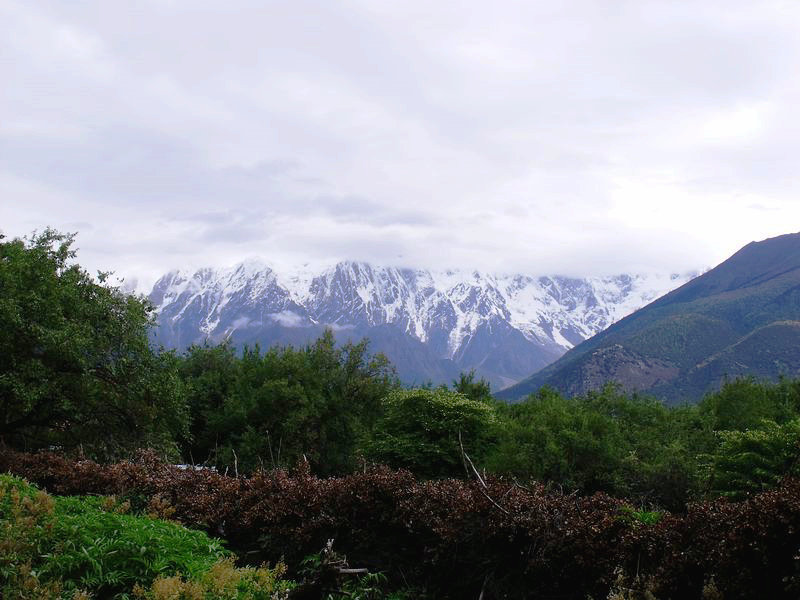 dscf8690.jpg