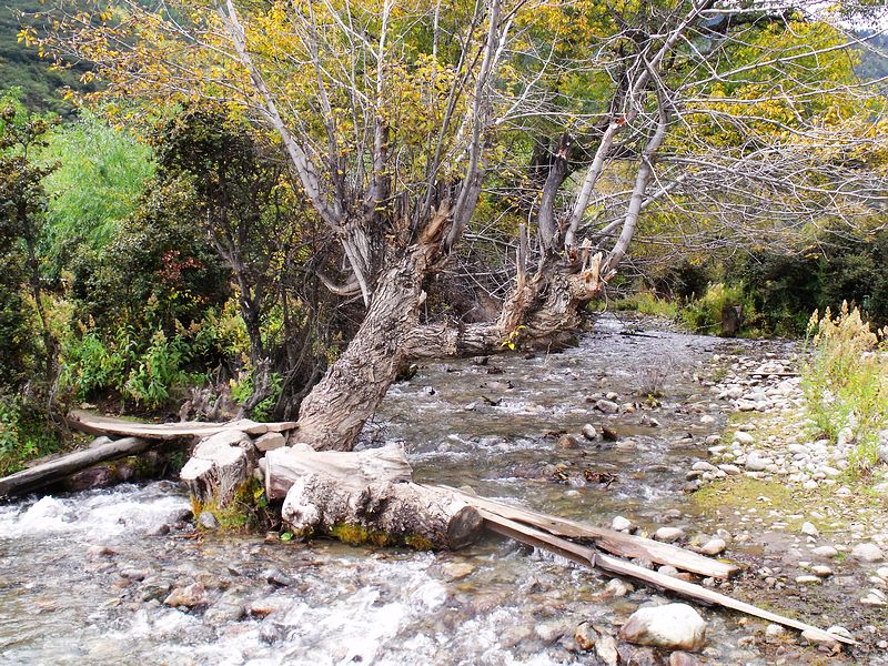 dscf8695.jpg