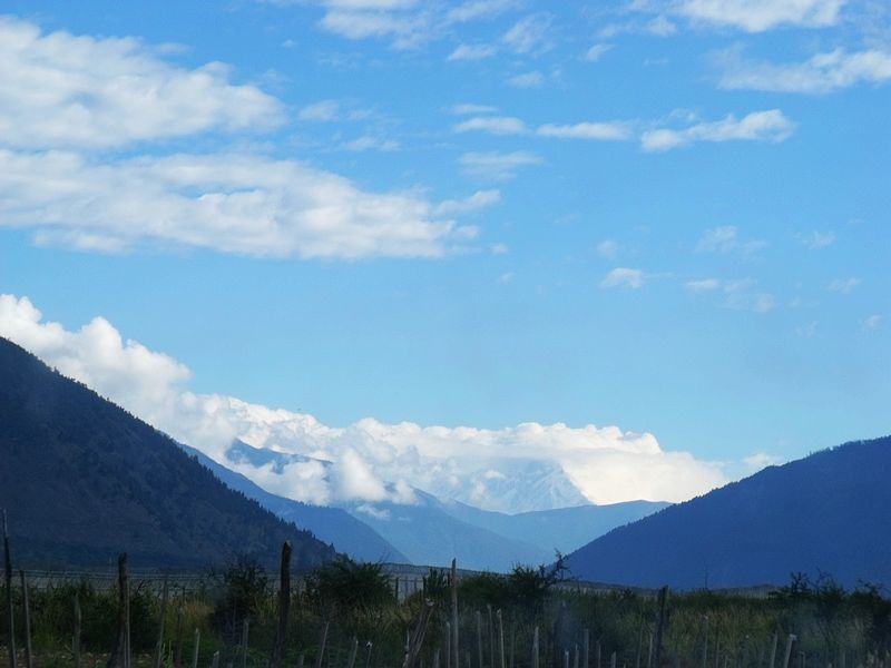 dscf8645.jpg