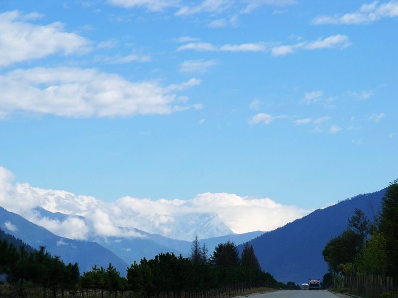 dscf8649.jpg