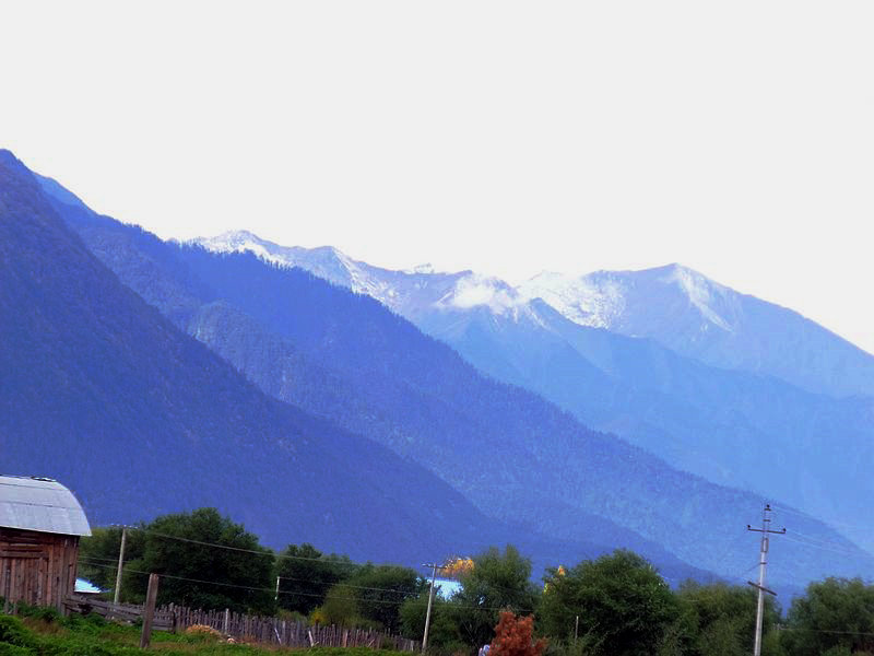 dscf8653.jpg