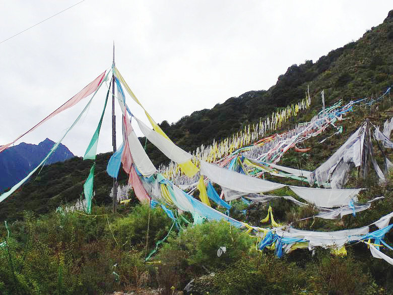 dscf8725.jpg
