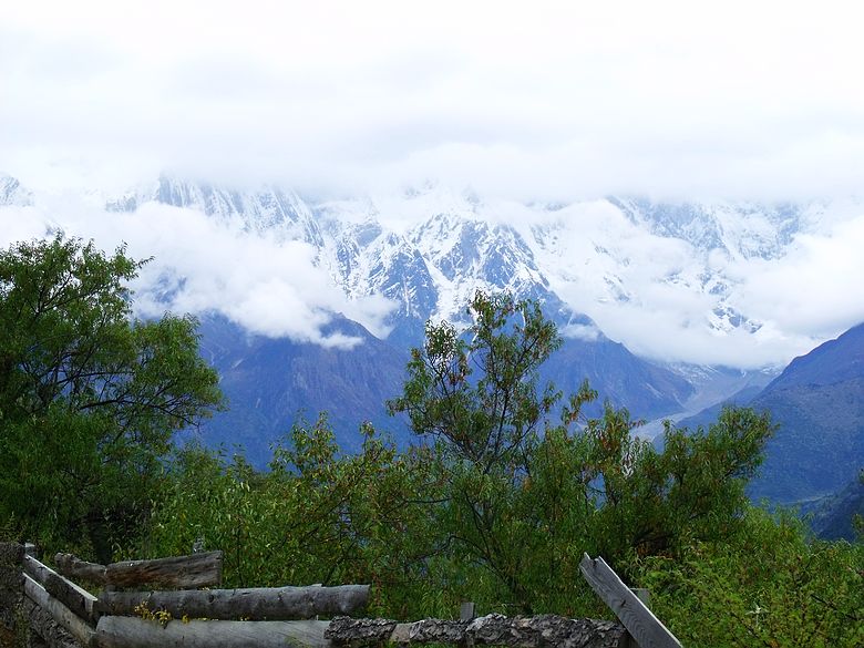 dscf8728.jpg