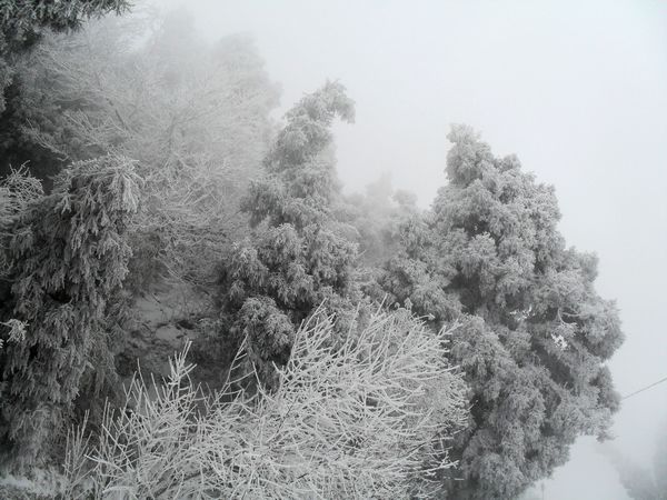 sdc13823.jpg