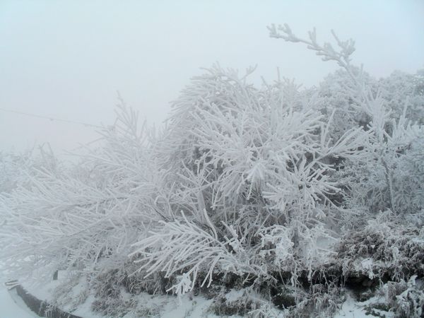 sdc13840.jpg