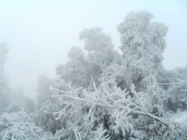 sdc13839.jpg