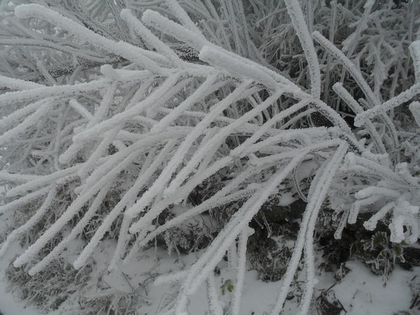 sdc13842.jpg