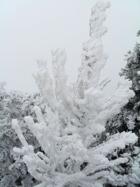 sdc13844.jpg