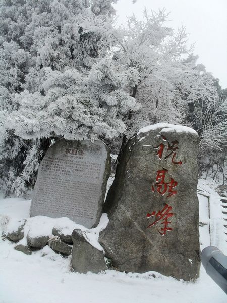 sdc13847.jpg