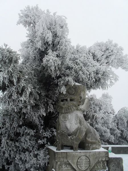 sdc13855.jpg