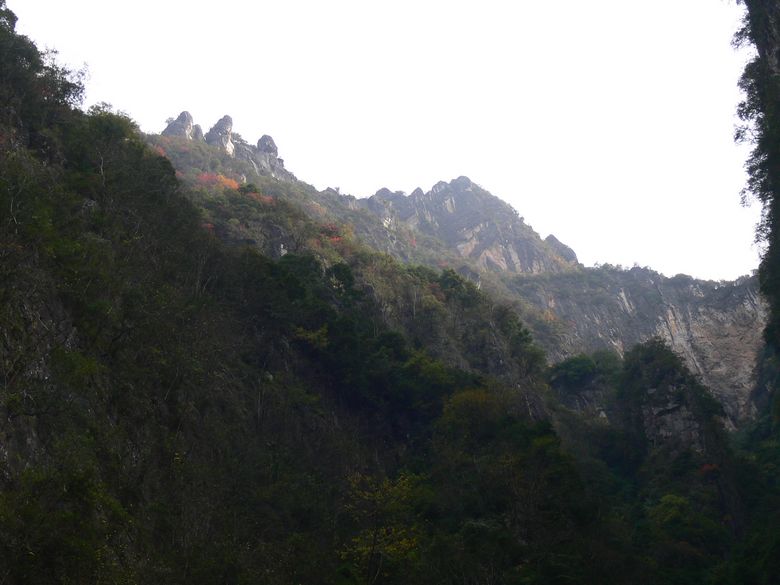 p1130136.jpg