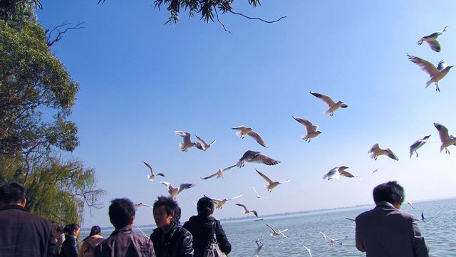 img_0047.jpg