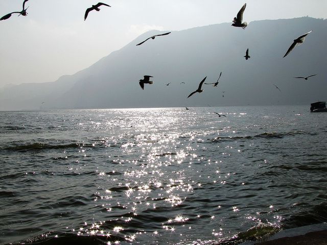 img_0129.jpg