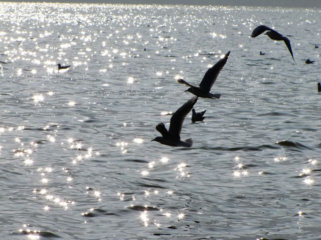 img_0153.jpg