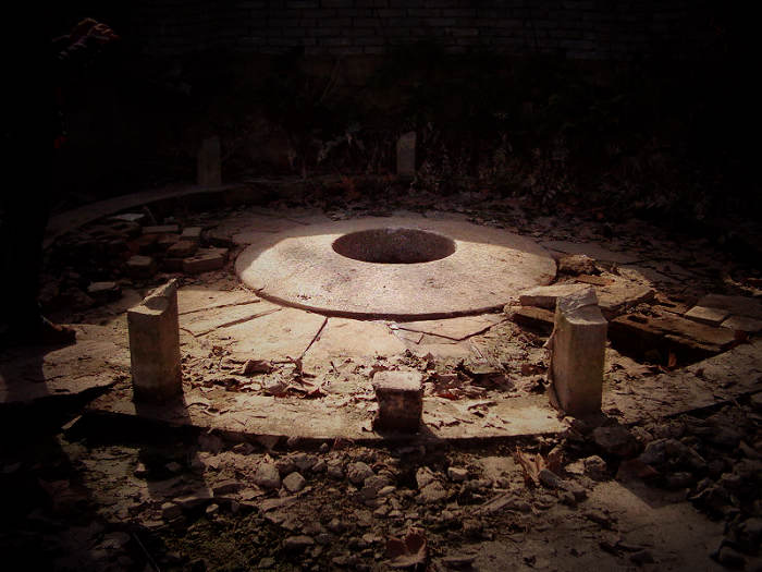 dsci0043.jpg
